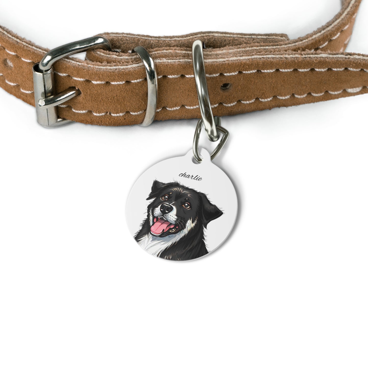 Pet Tag