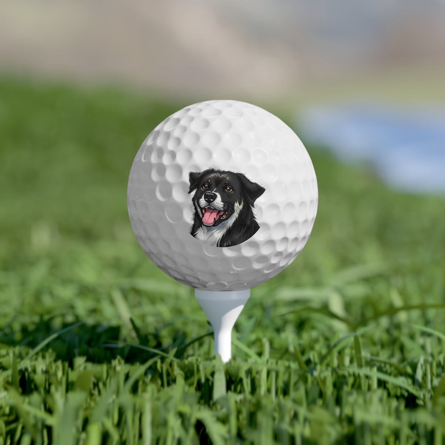 Personalized Dog Lover Golf Balls - 6-Pack with Pet Portraits