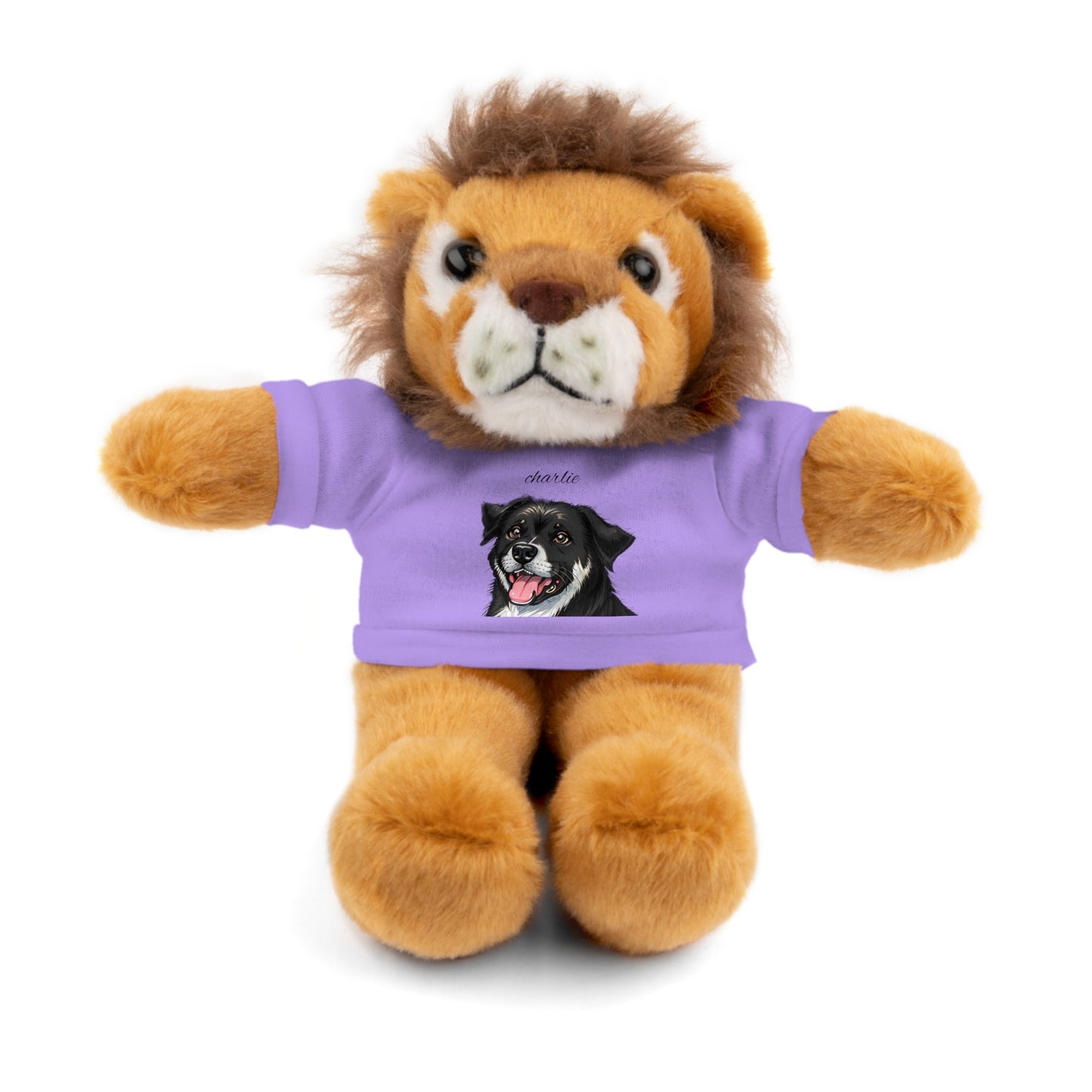 Stuffed Animals with Tee