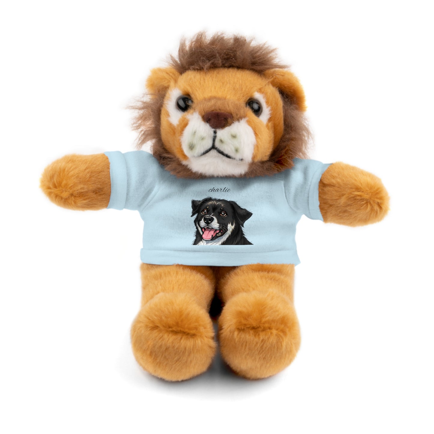 Stuffed Animals with Tee