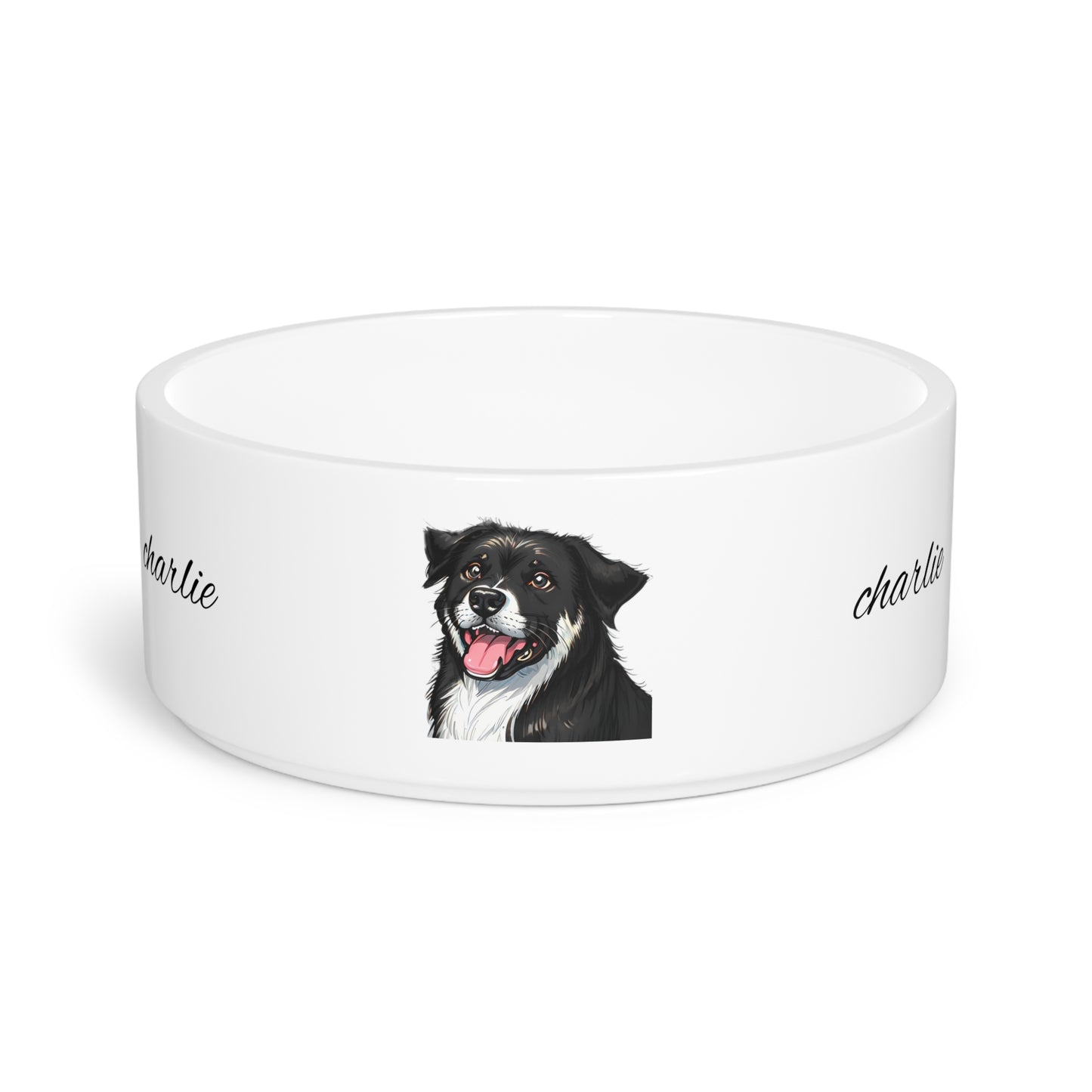 Pet Bowl