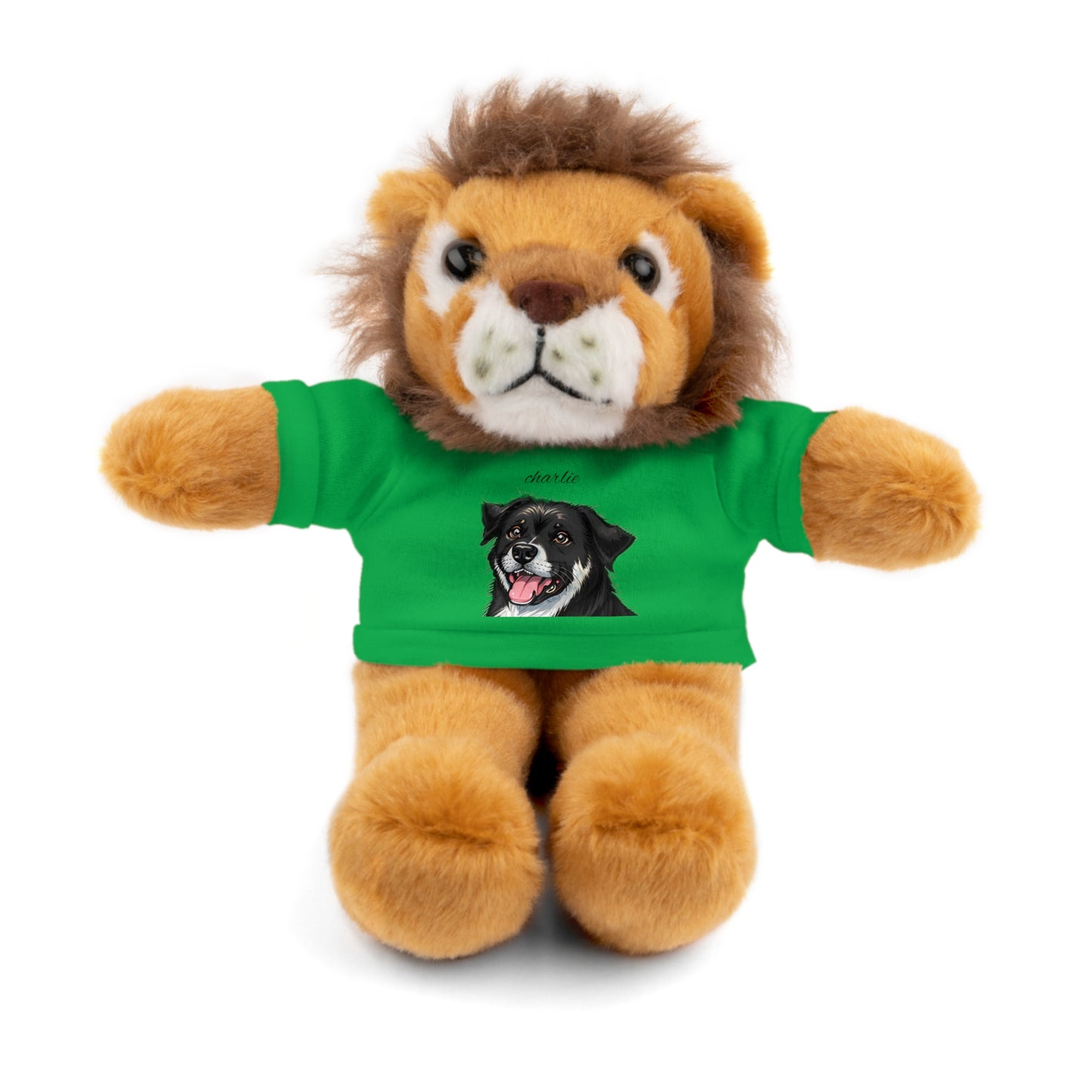 Stuffed Animals with Tee