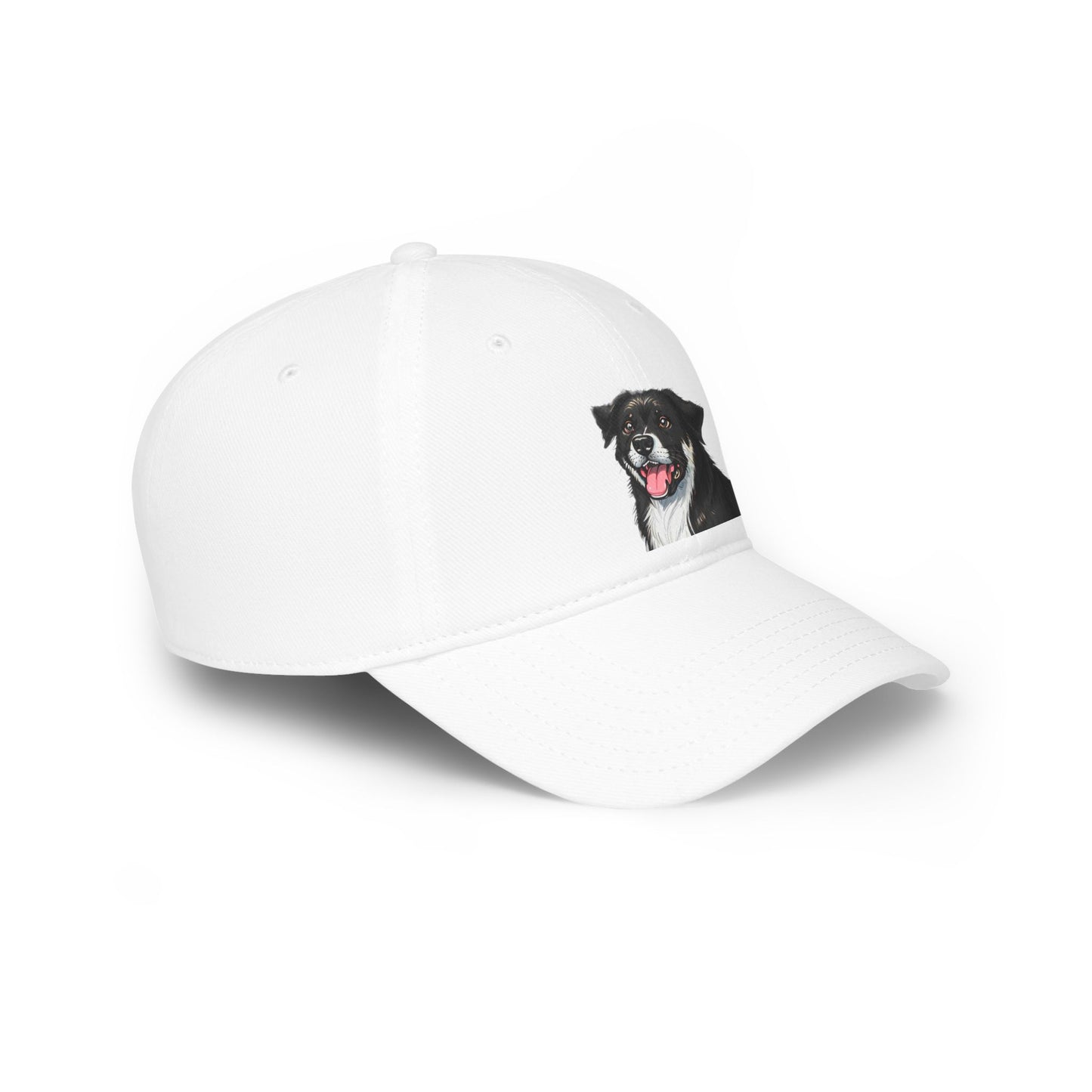 Low Profile Baseball Cap