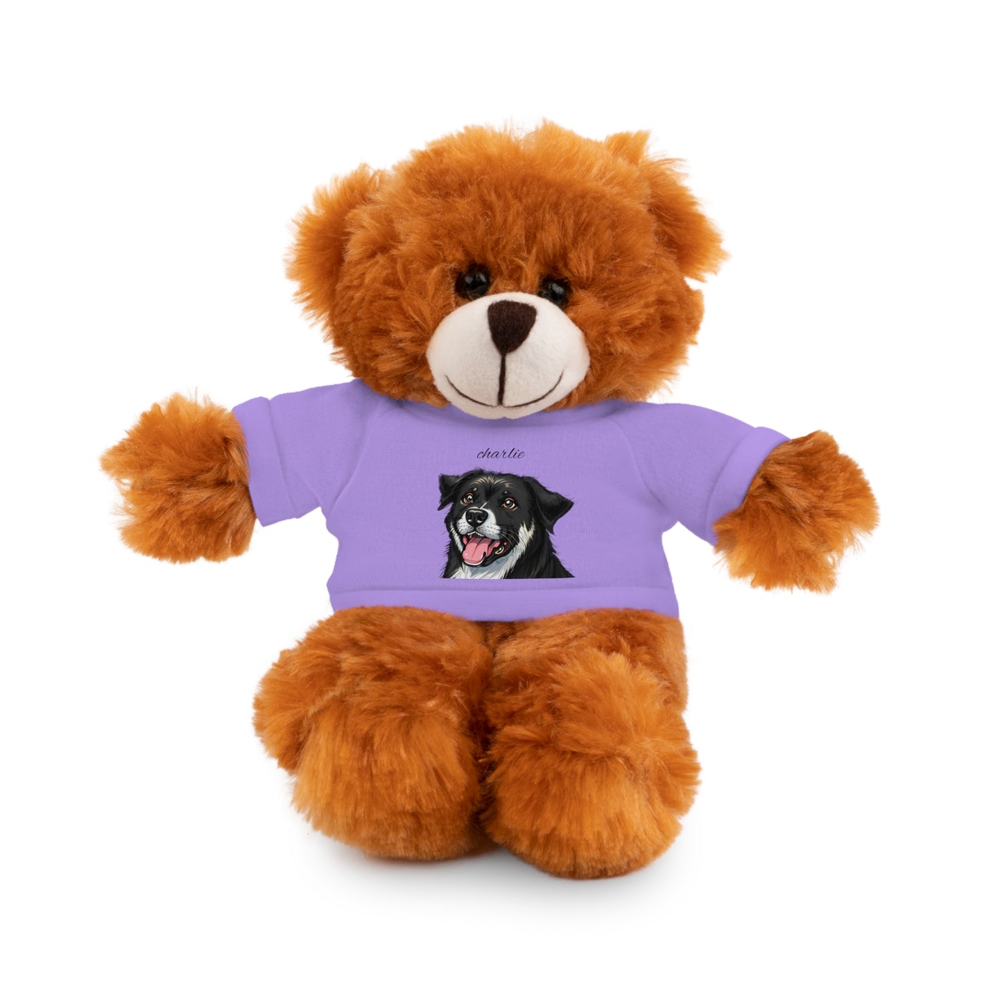 Stuffed Animals with Tee